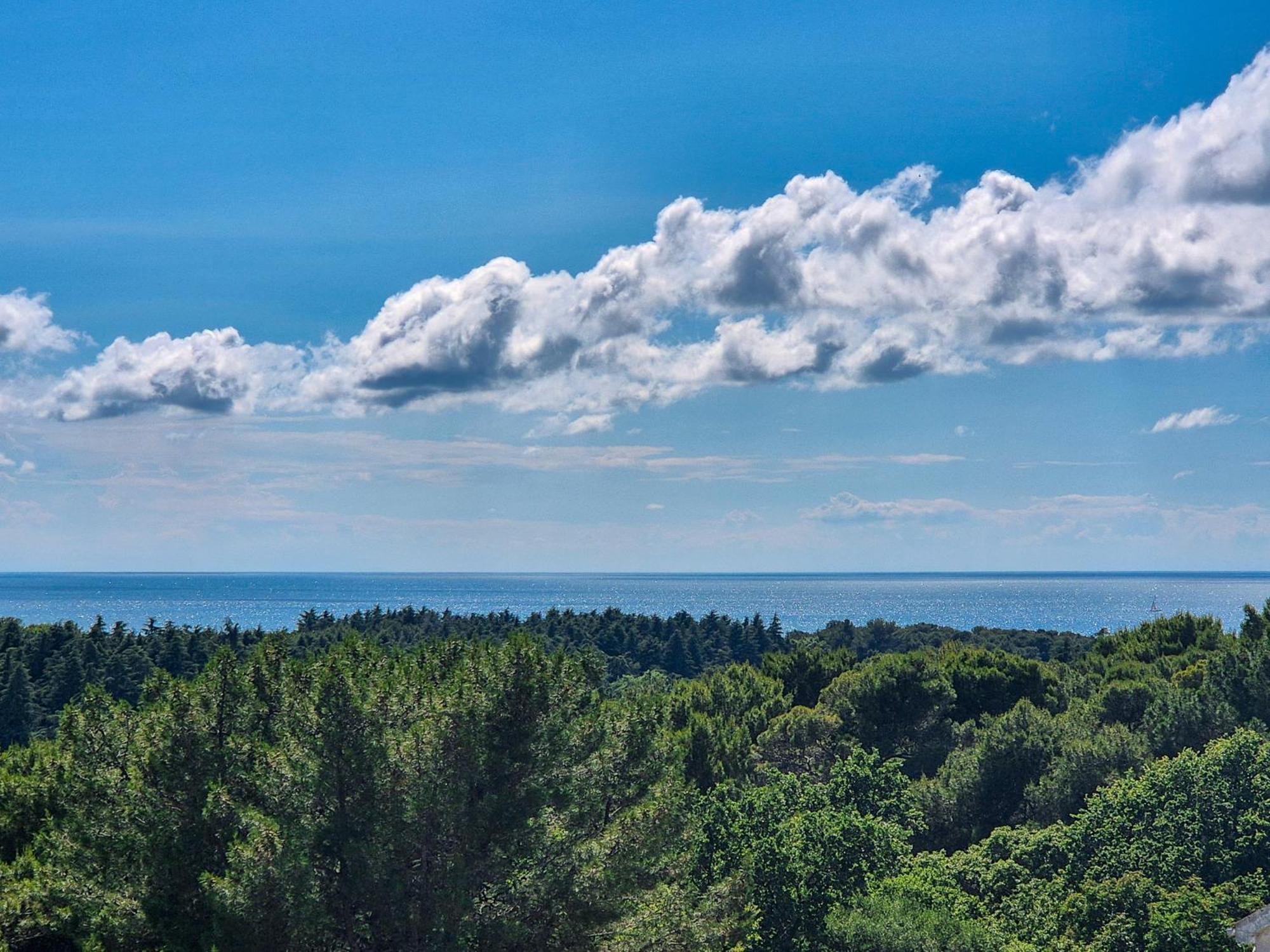 Velijoze Apartment Porec